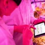 digital growth optimization tools