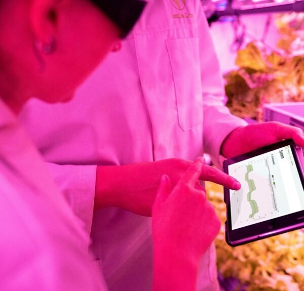 empower growth with technology